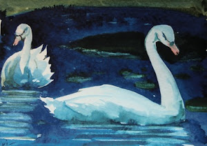 Pair of Swans