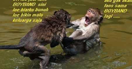 Radarmas Daftar 100 Kata Mutiara Jujur Lucu Agak Menyakitkan Hati