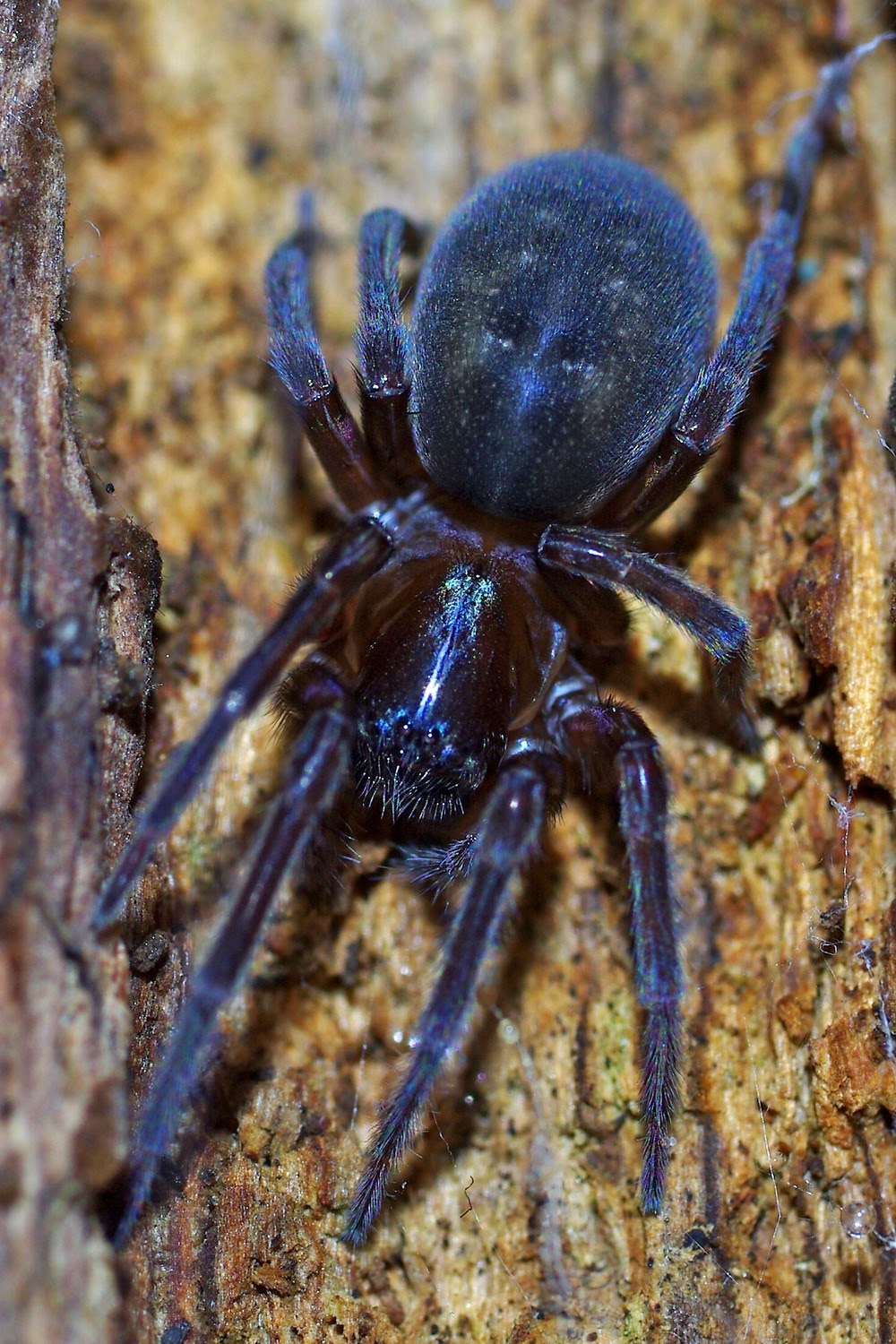 rencontres bis nantes