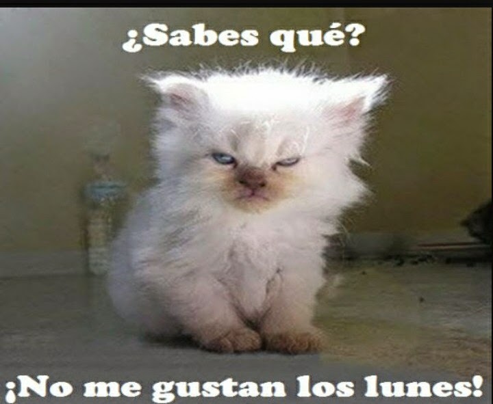 Imagenes chistosas de los lunes para descargar Imagenes chistosas de los lunes para descargar