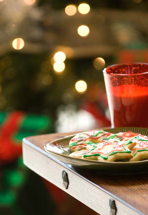 Santa sleigh flying backdrop I.De.A: December 2012