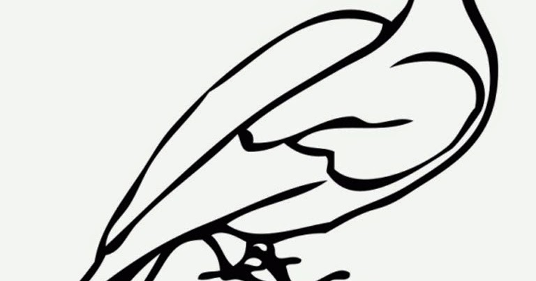 gambar burung merpati untuk mewarnai