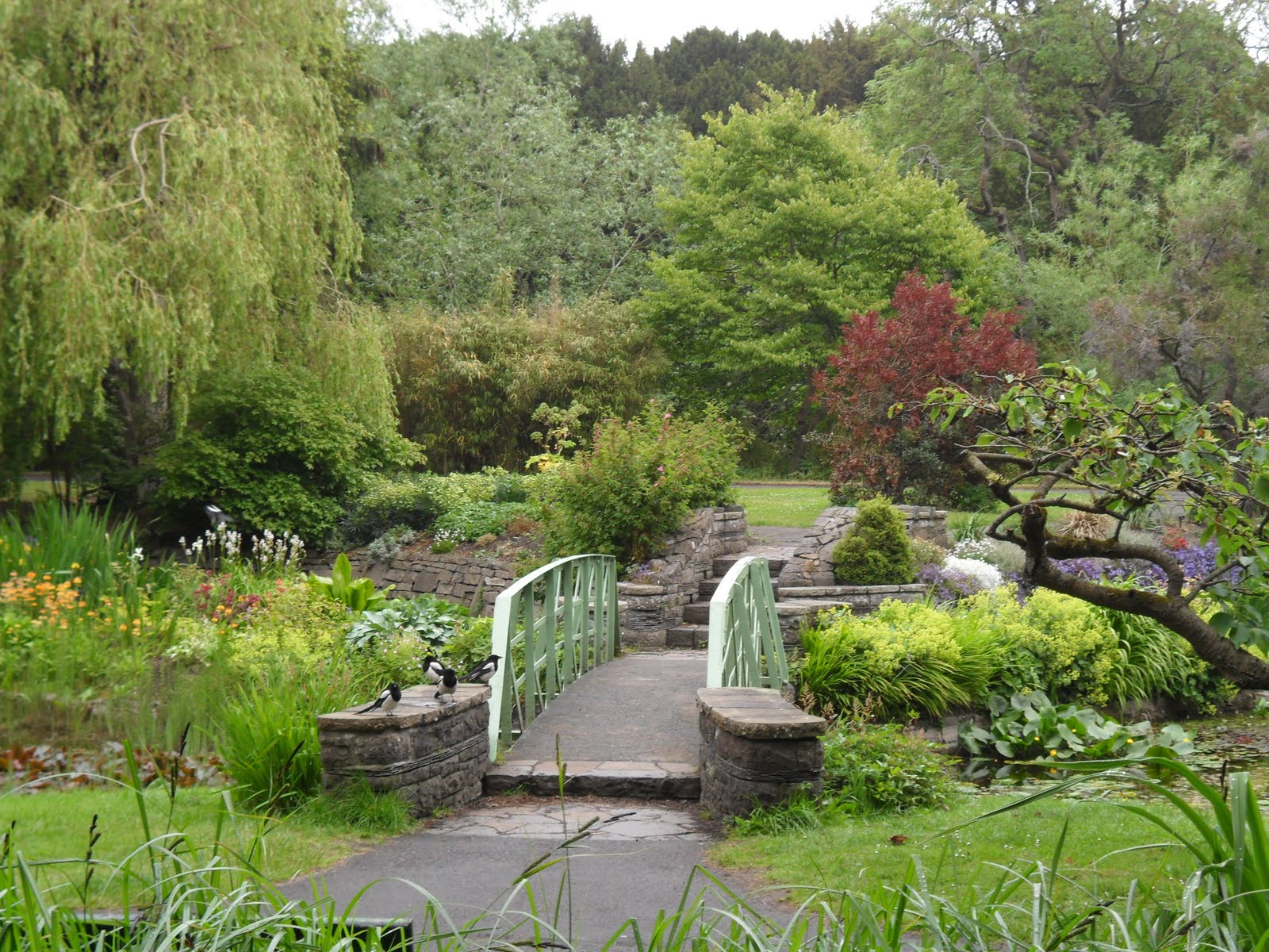 Irish Adventures The National Botanic Garden of Ireland