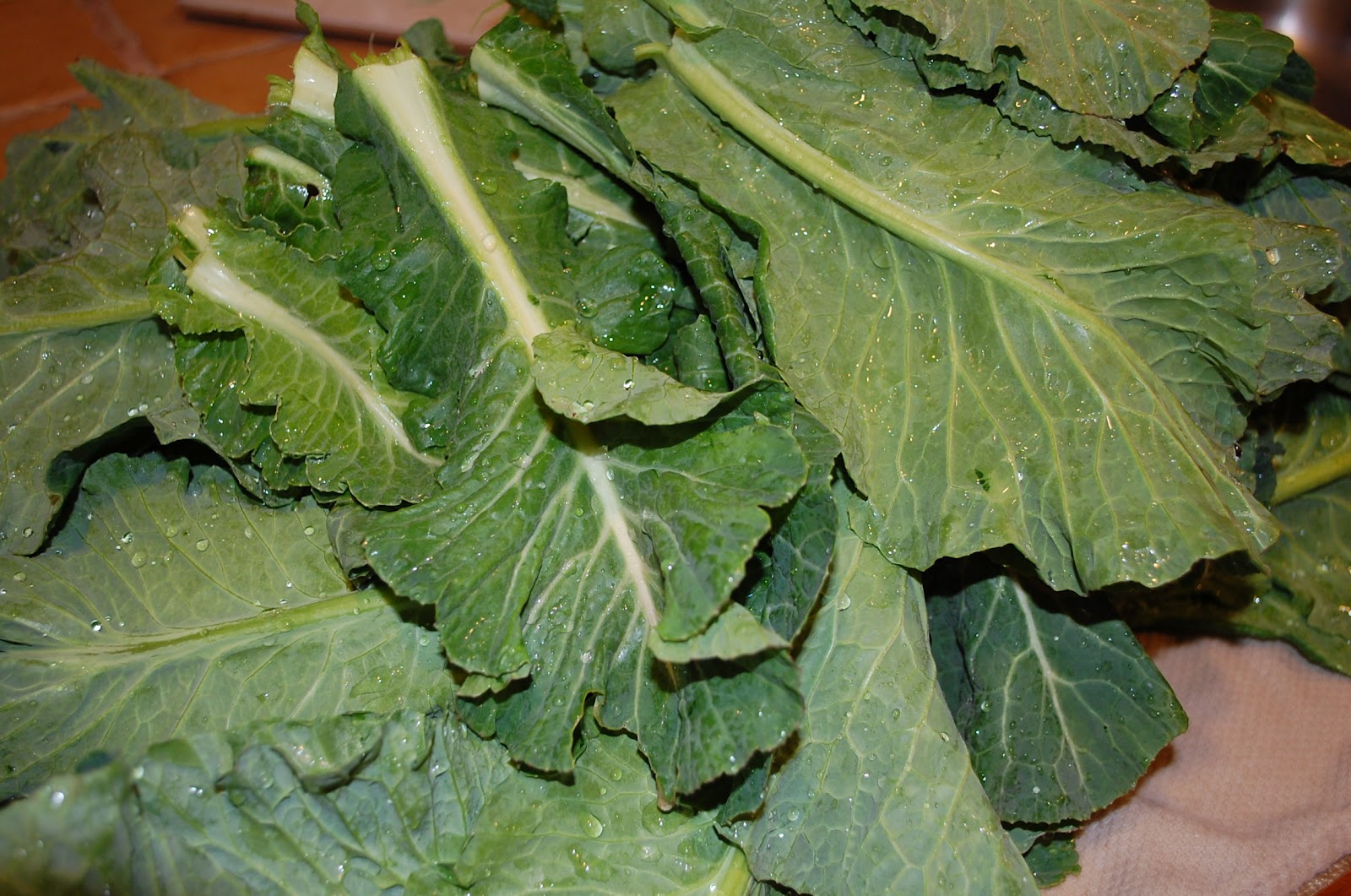 Eating From The Homestead Grandmother's Collard Greens