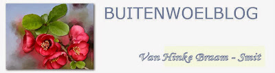 buitenwoel