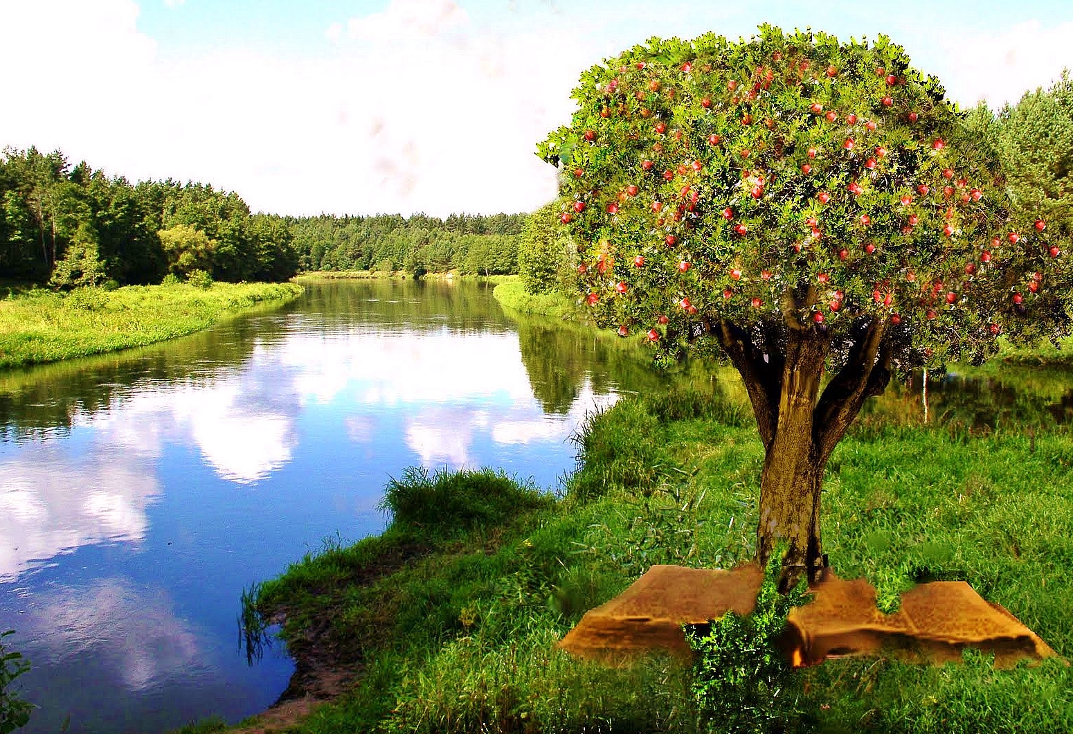 Beacon of Light Streams of living water