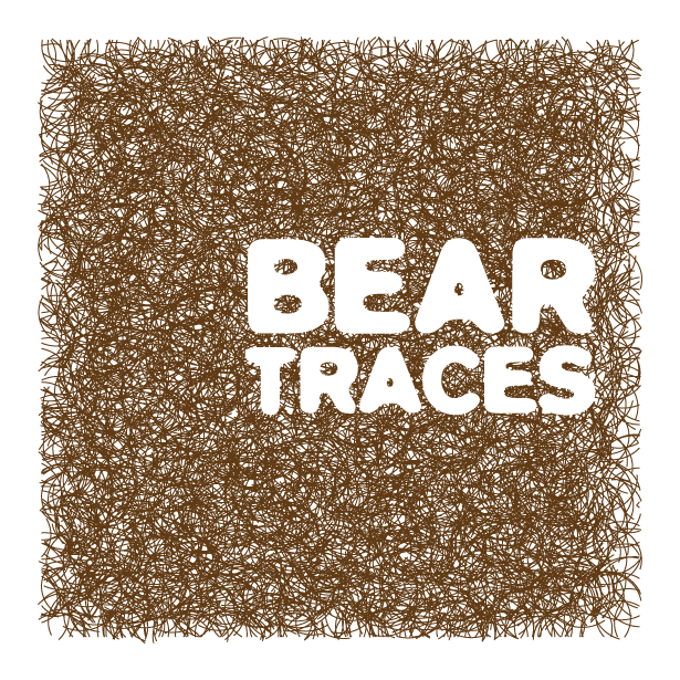 bear traces