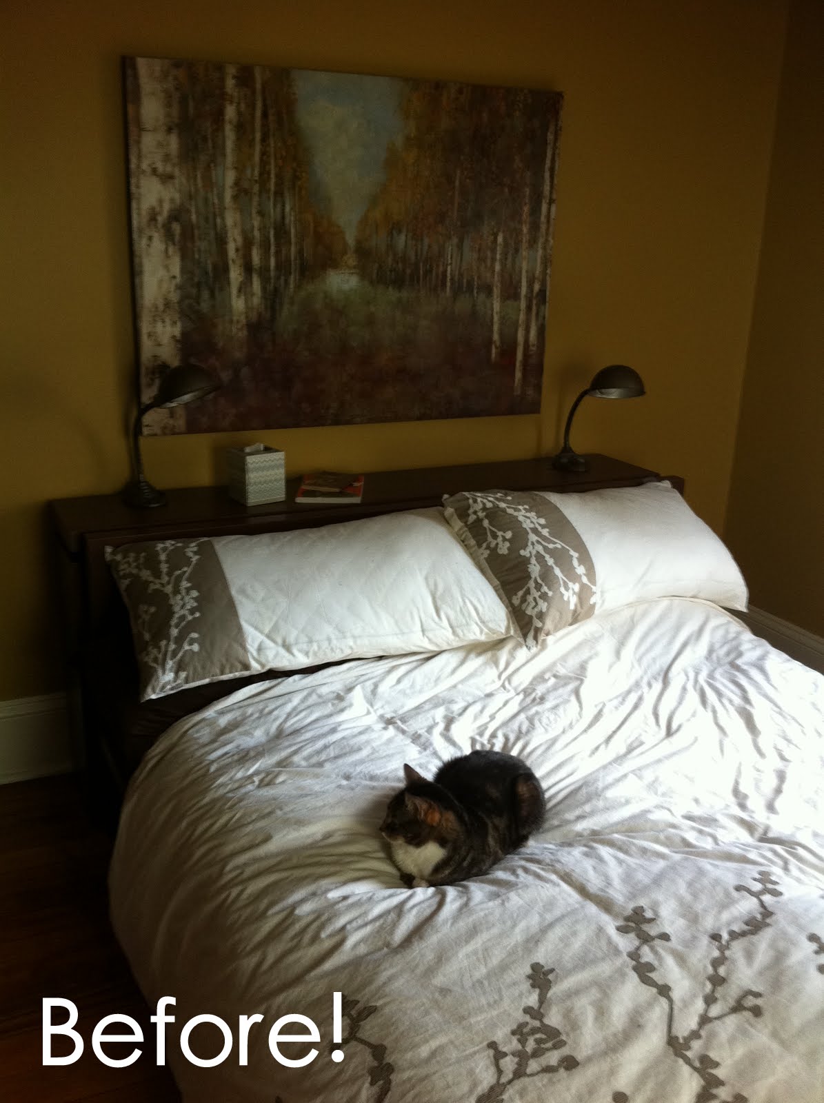Insideways Pillow Power