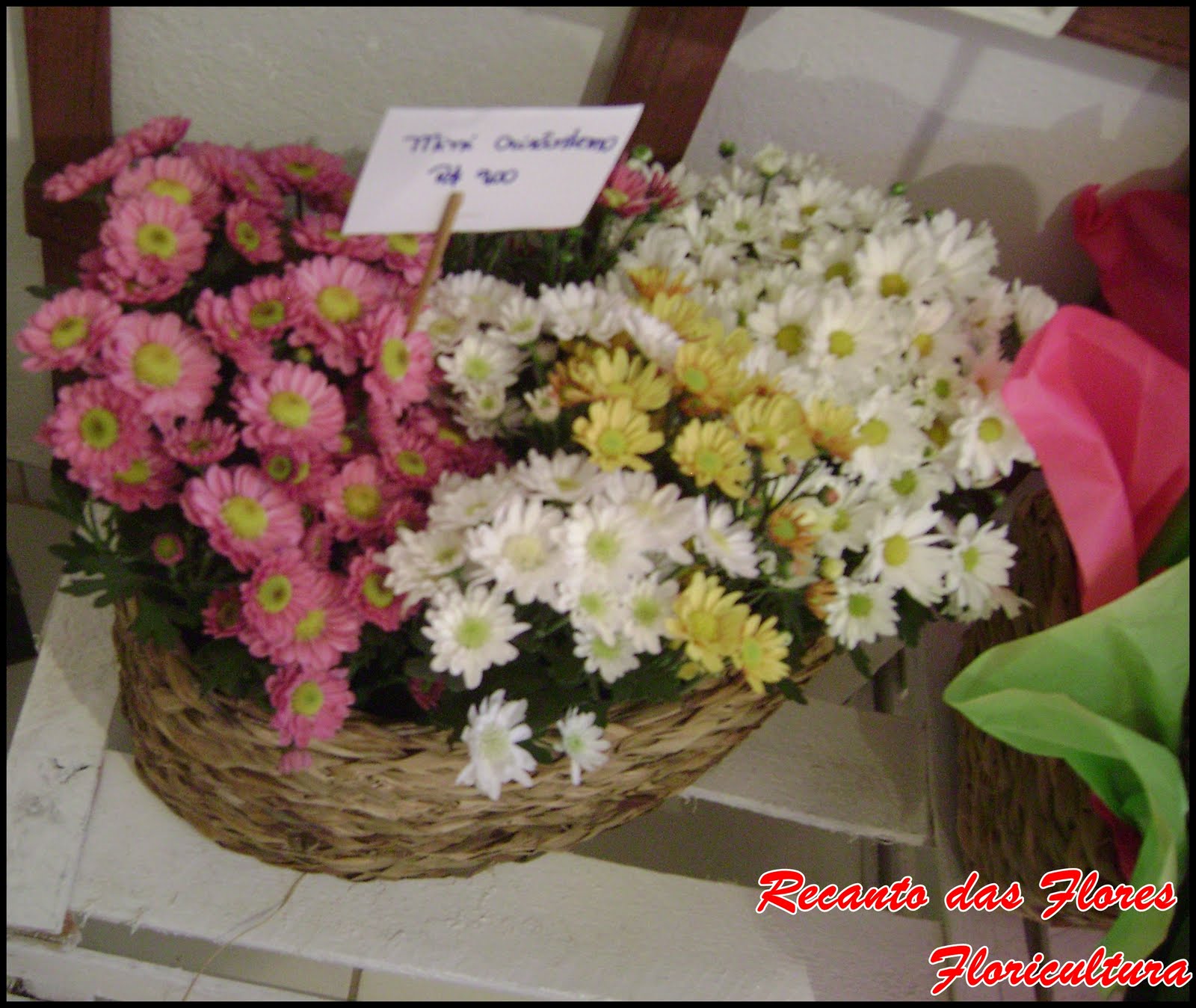 Floricultura Recanto das Flores