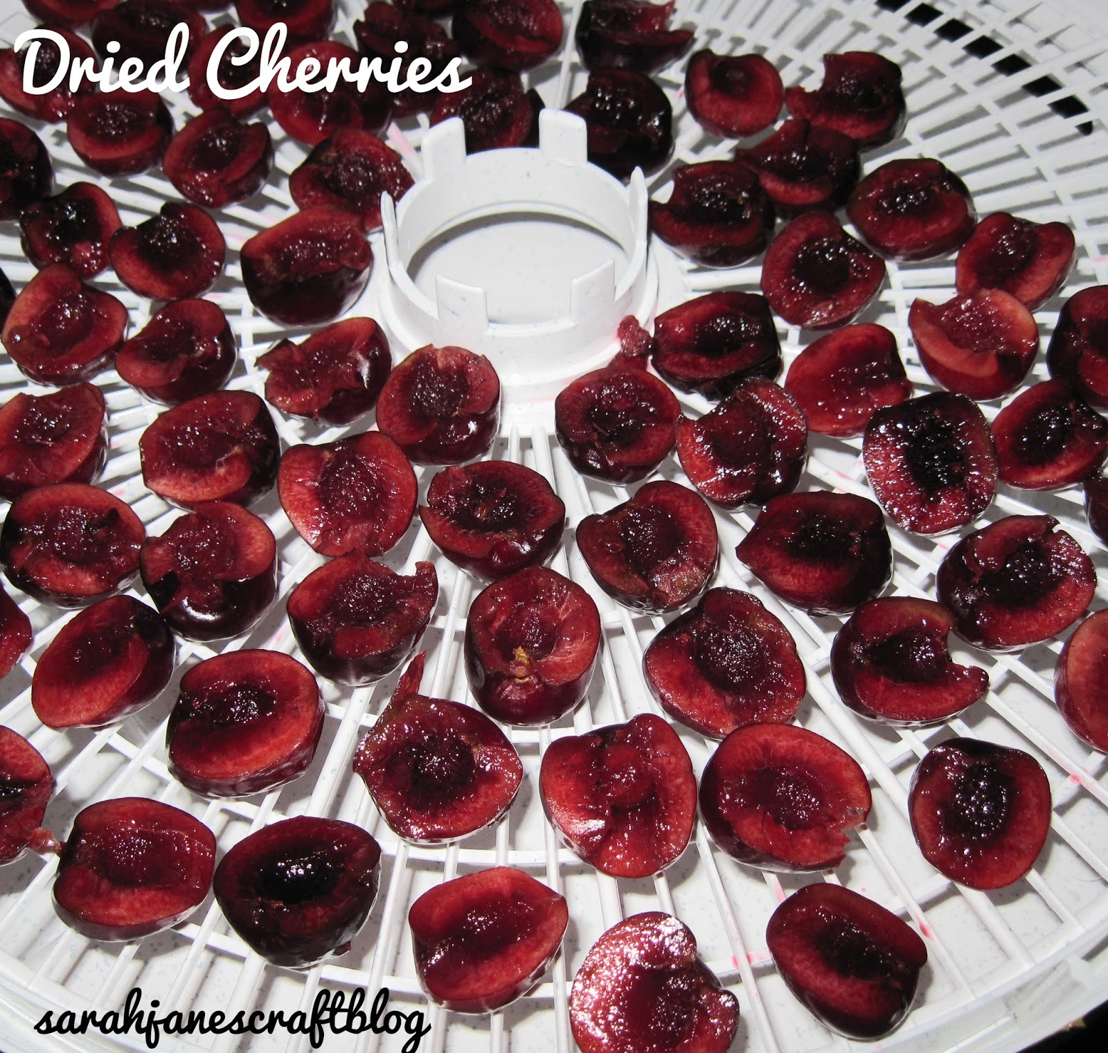Sarah Jane's Craft Blog Adventures in Dehydrating Cherries