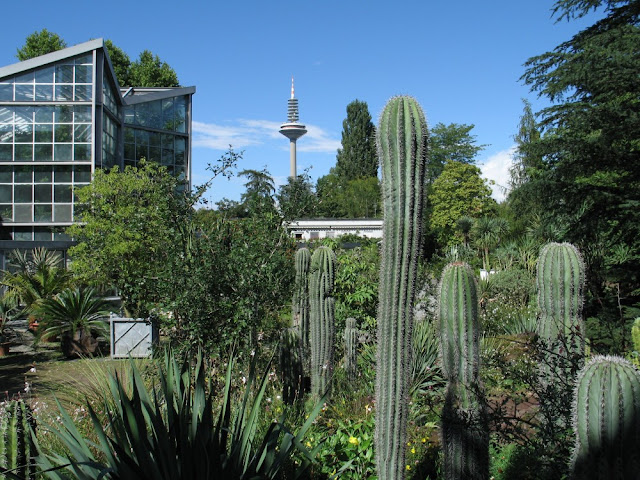 Ogród botaniczny we Frankfurcie - Palmengarten Frankfurt