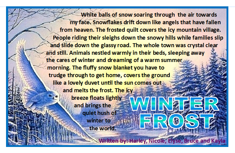 Describe a park in winter picture