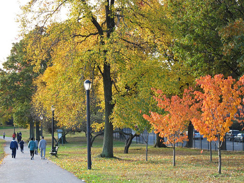 [Image: du-lich-my-thu-vang-new-york-20.jpg]