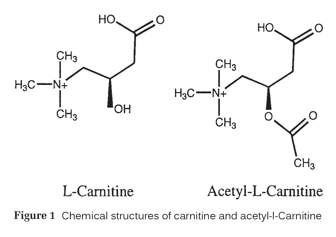 ALL ABOUT SKIN TALKS LCARNITINE DEFICIENCY