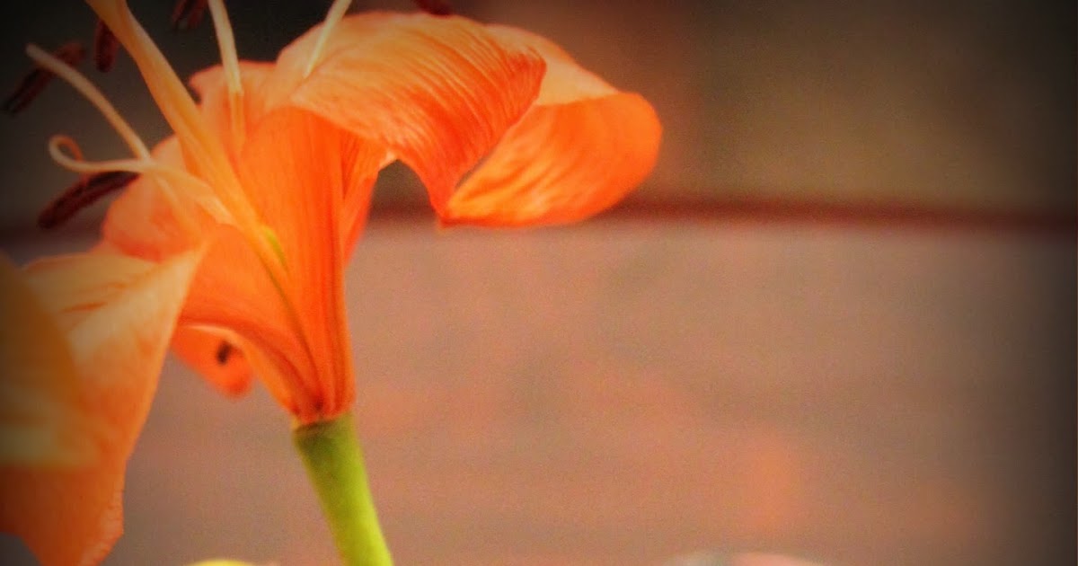 Bring It On.... 2014