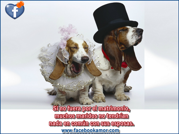 Postales divertidas de matrimonio para facebook