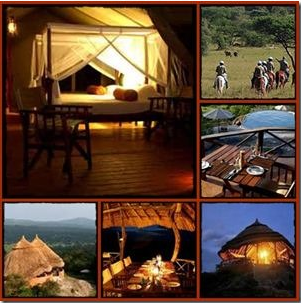 gorilla-tour-booking-book-accommodation-uganda.png
