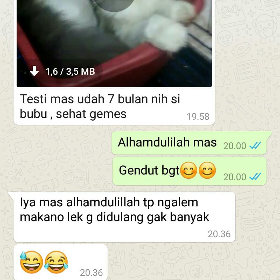 REAL TESTI