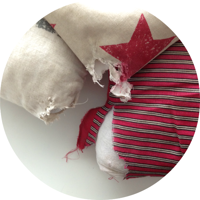 Whilst I had been busy degermifying out house, the dogs had decided to