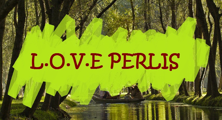 L.O.V.E PERLIS