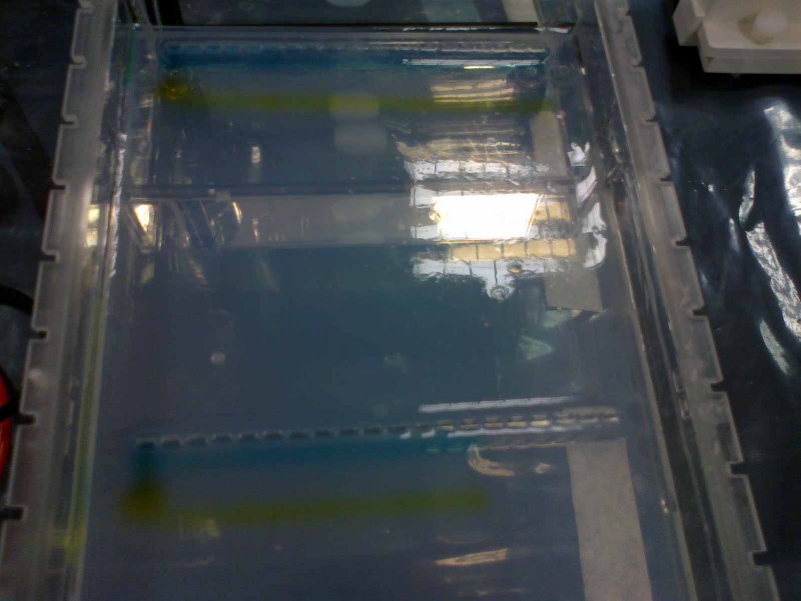 SHERYNA Running PCR product on Gel electrophoresis