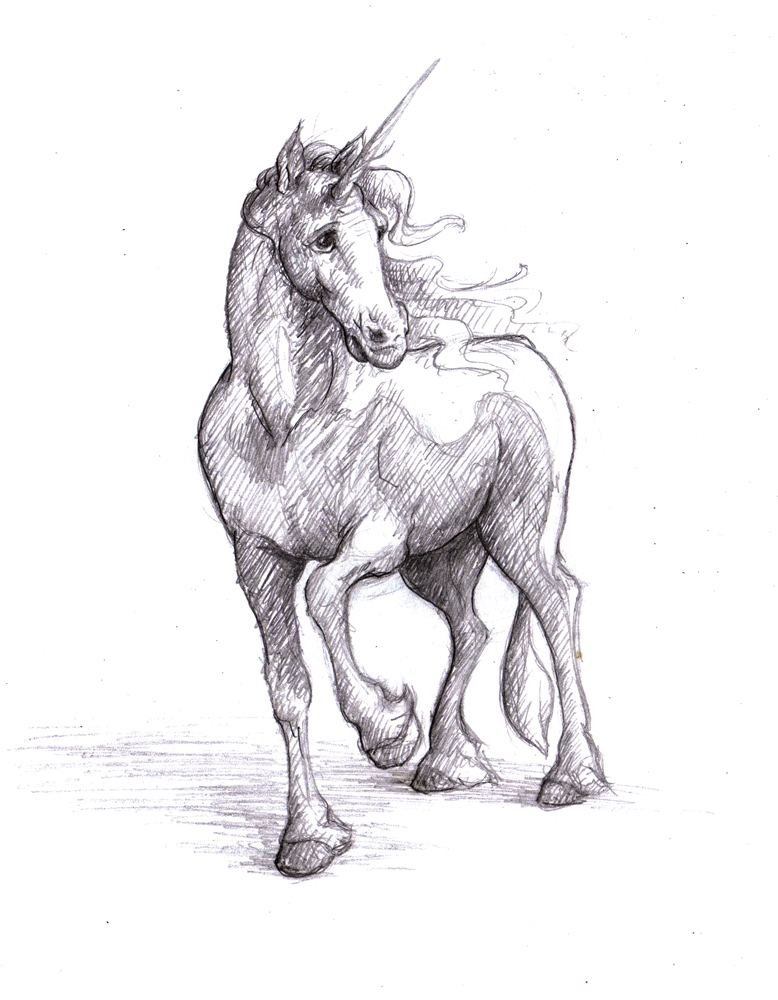 Unique Realistic Sketch Unicorn Drawing with simple drawing