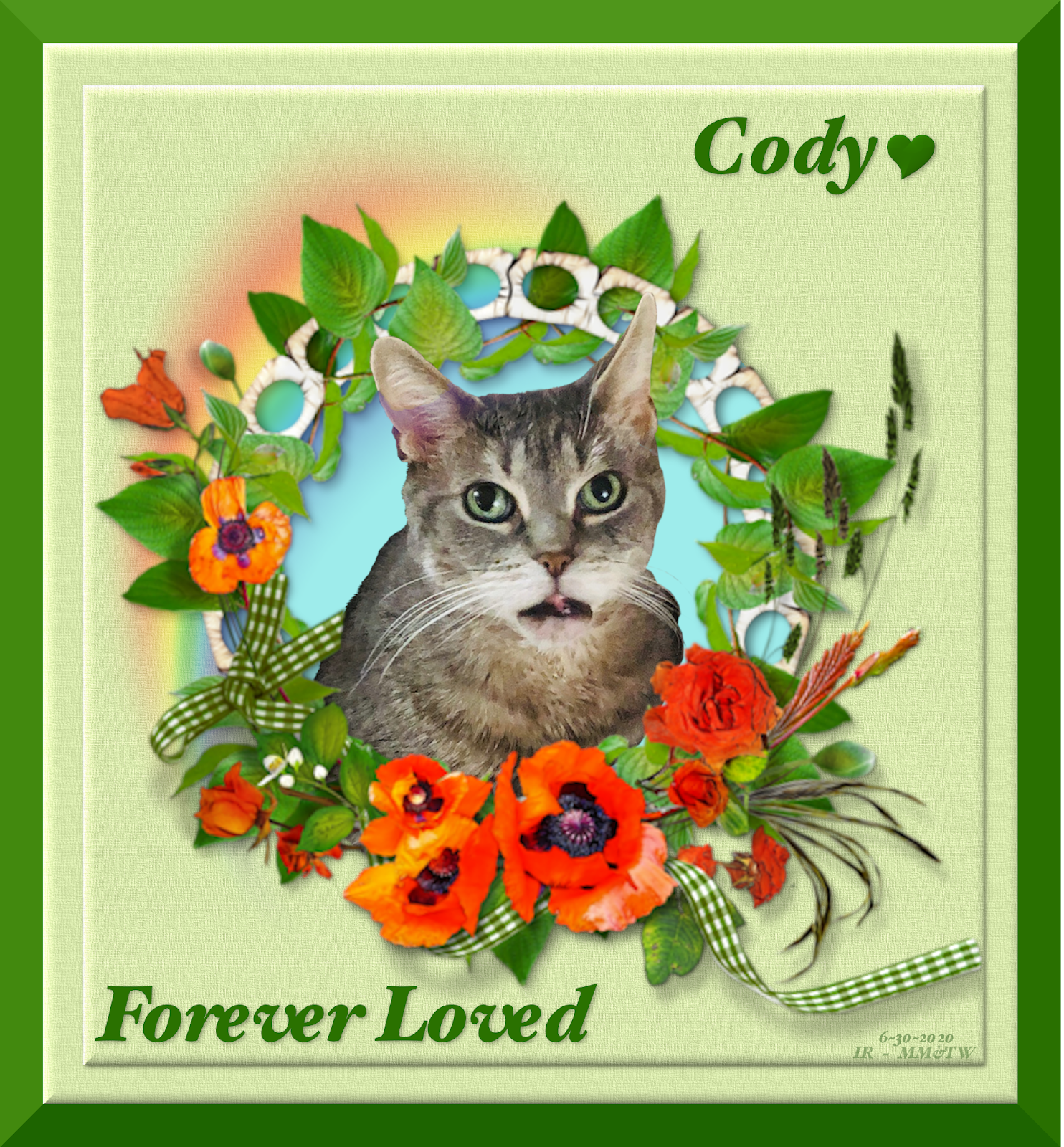 Cody Forever Loved