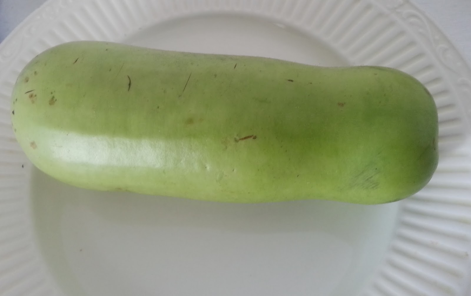 Annapurna Bottle Gourd with Yogurt / Doodhichi Koshimbir / Lauki Raita