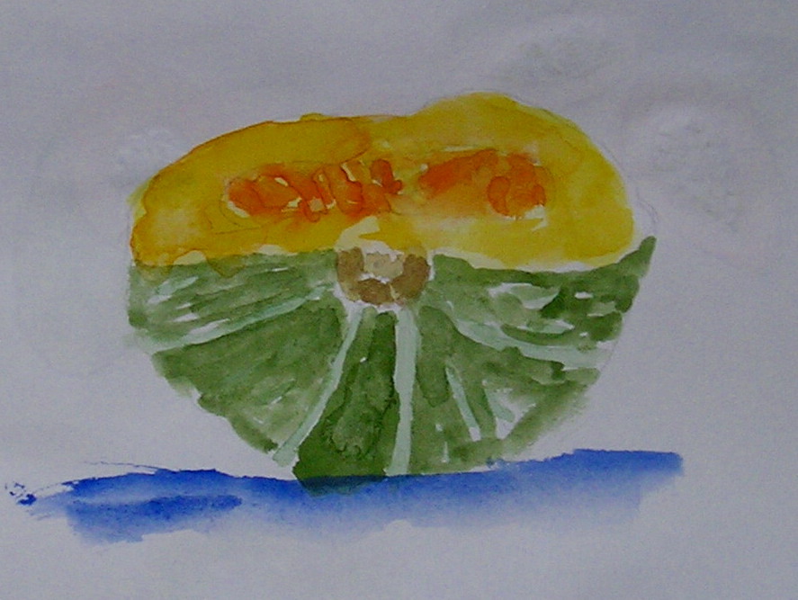 Squash Sketch