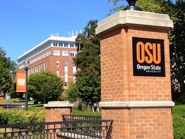 University Of Oregon Degree Programs