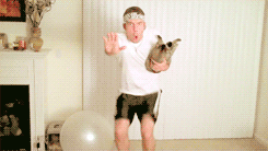 funny-gif-workout-with-your-cat-006.gif