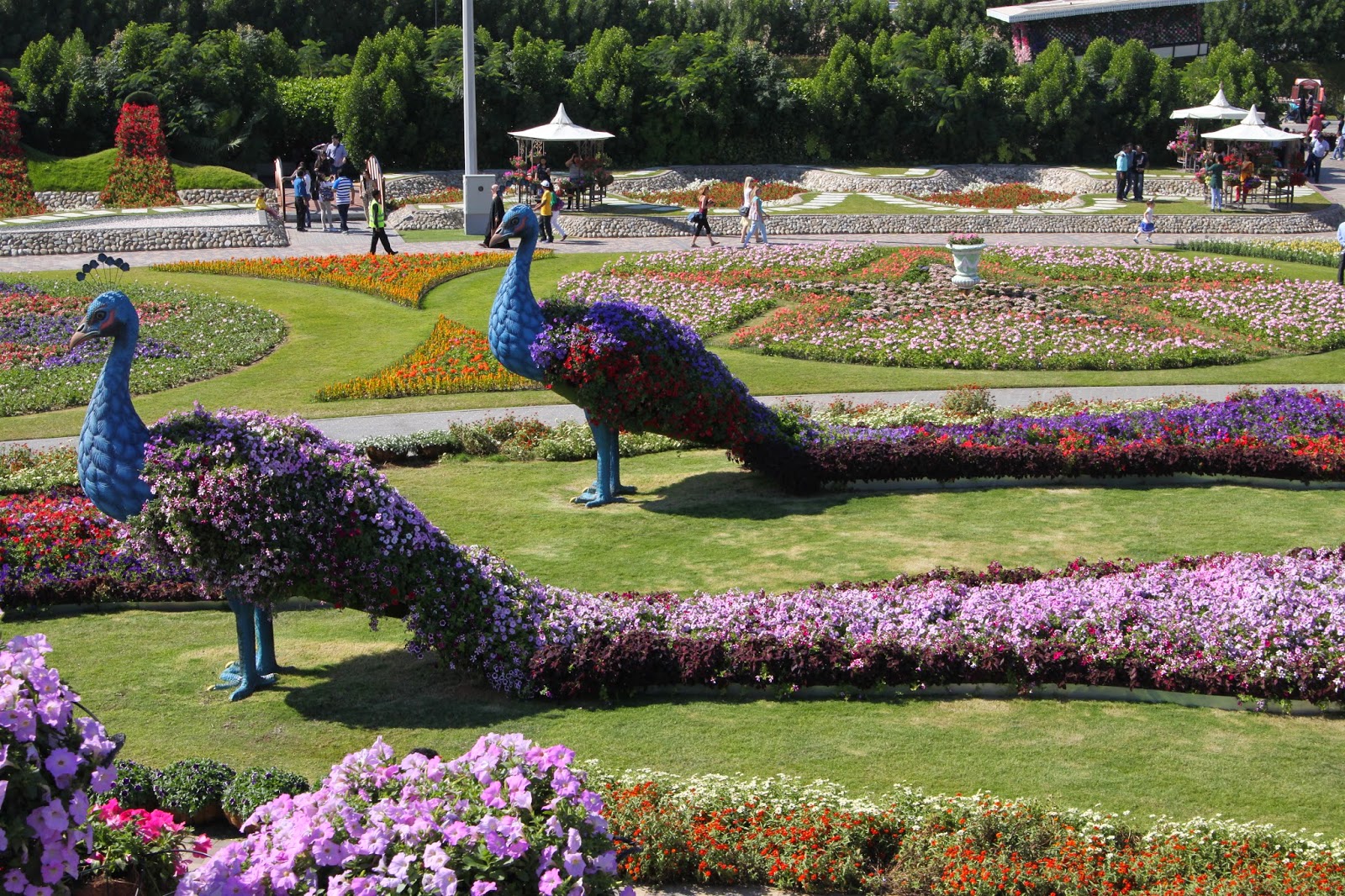 Life in Abu Dhabi Dubai Miracle Garden