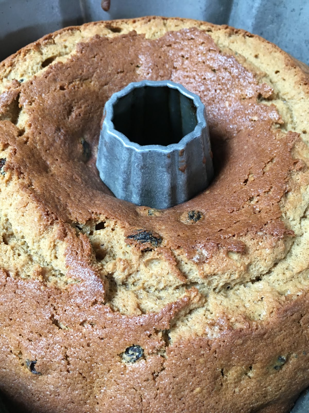 The Cook's Tour Food.Baking.Travel. Rum Raisin Cake