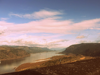 Quick Cheap Recipes For 2 : Family Members Cookbooks Now Online