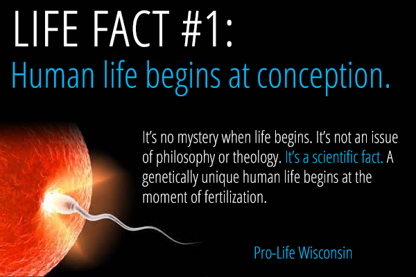 Life+begins--scientific+fact.png