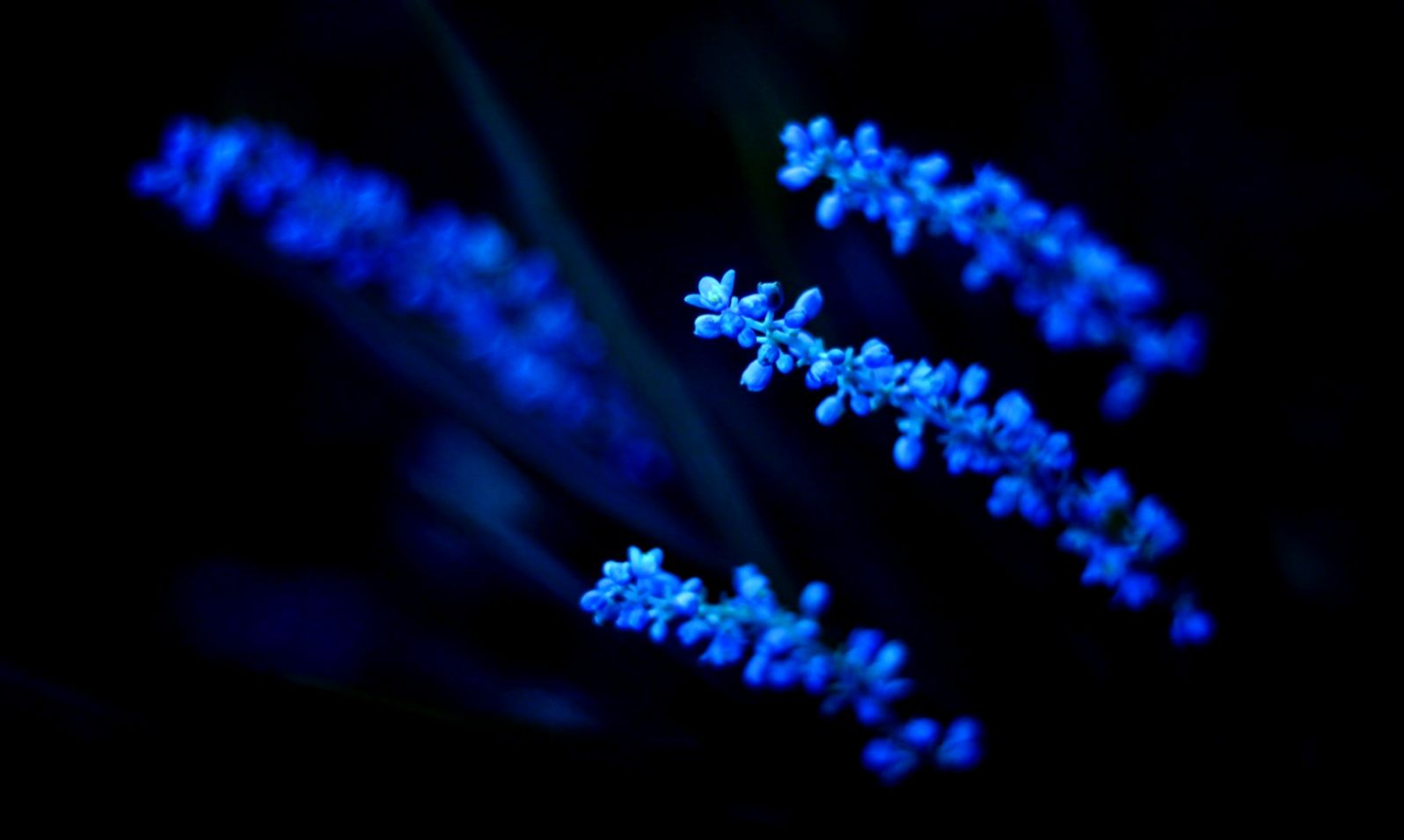 Dark Blue Wallpaper For Ipad FV7U Pretty Wallpapers HD Dark Blue Wallpaper For Ipad FV7U Pretty Wallpapers HD