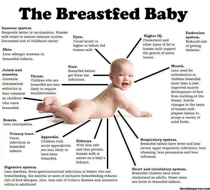 breast milk types