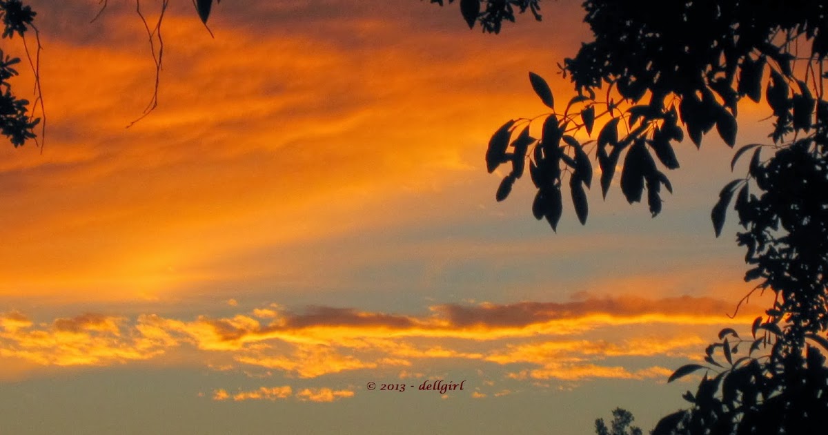 At the Starting Gate The Golden Time of Day