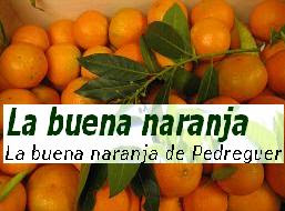 oranges online