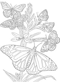 Coloring Page World: Butterfly 6
