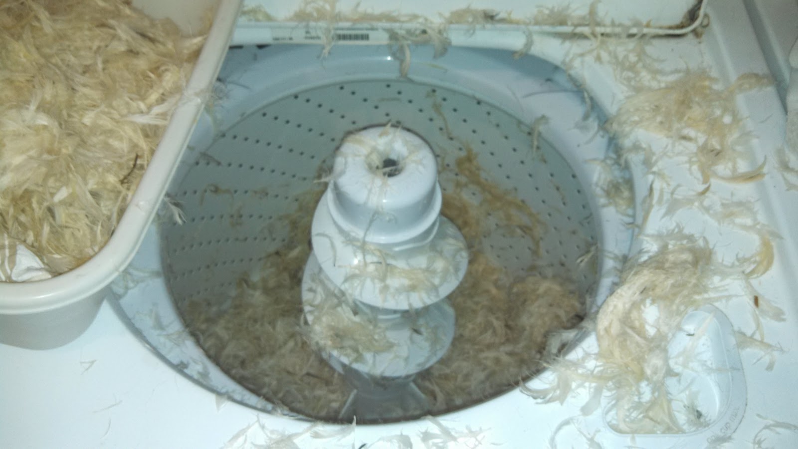 The Cultured Purl Damn you, Pinterest