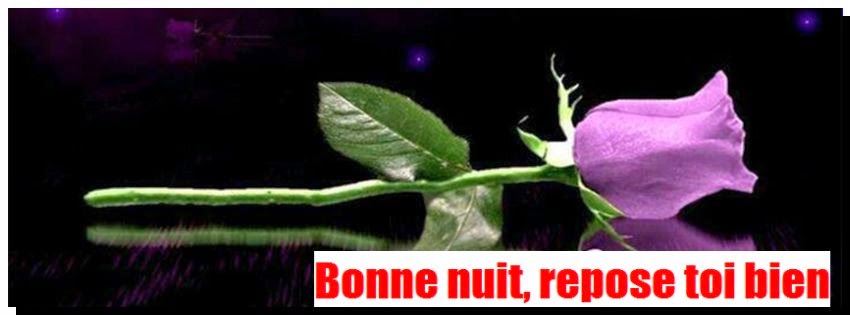 Afficher l'image d'origine