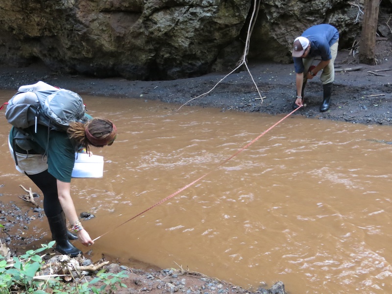A Badger Abroad Slopping around in the Noolturesh River