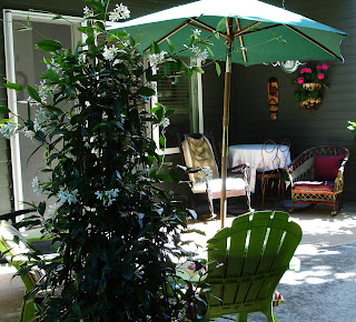 RETIRE IN STYLE BLOG: They didn't call HGTV's Yard Crashers!