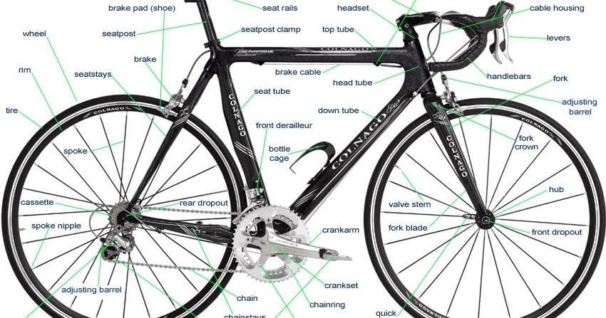 dolan single speed