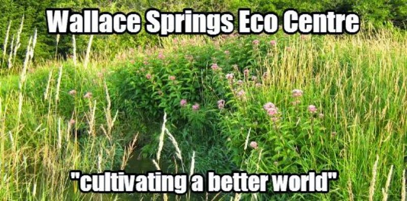 WALLACE SPRINGS  ECO CENTRE