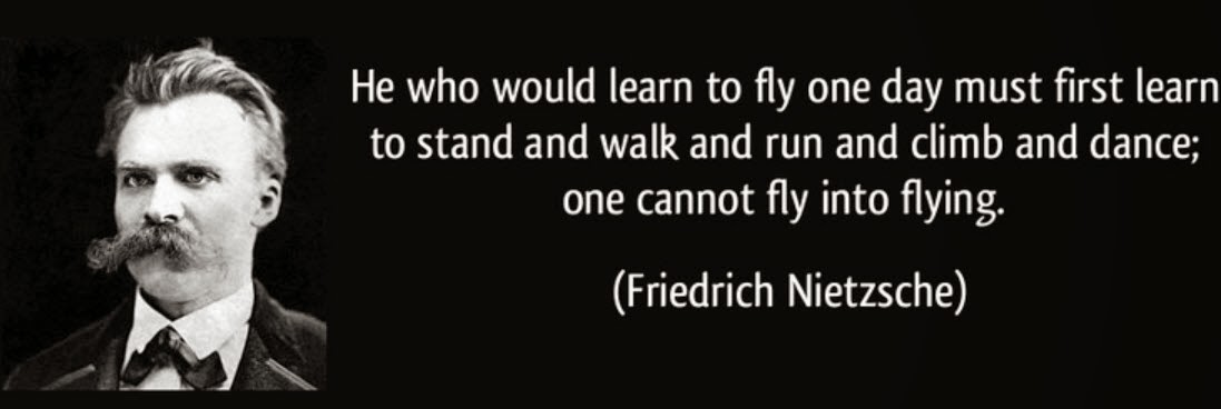 He who would learn to fly one day must first