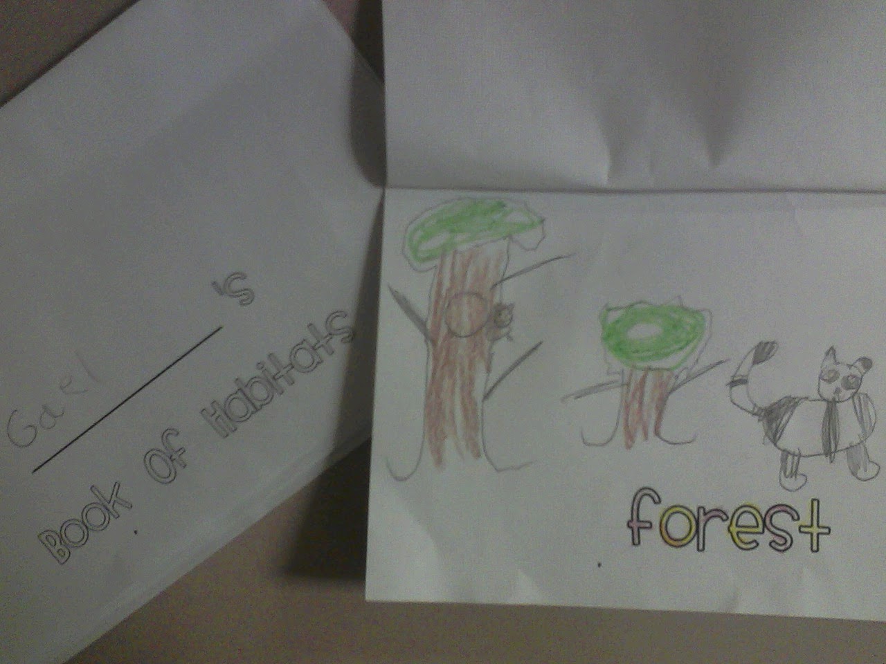 Miss. Llewellyn's Kindergarten: Animal Habitats