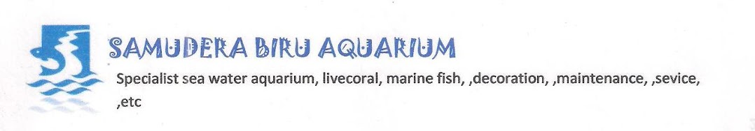 Samudera Biru Aquarium