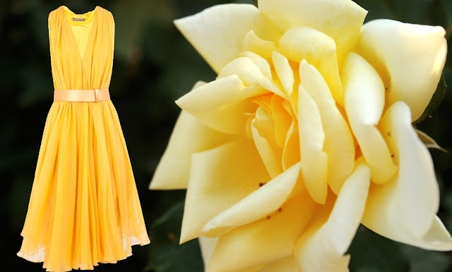 Alexander McQueen yellow dress Alexander McQueen yellow dress and a yellow rose